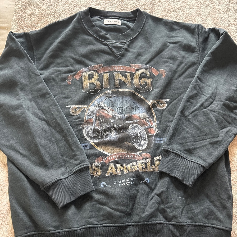 Anine Bing sweatshirt